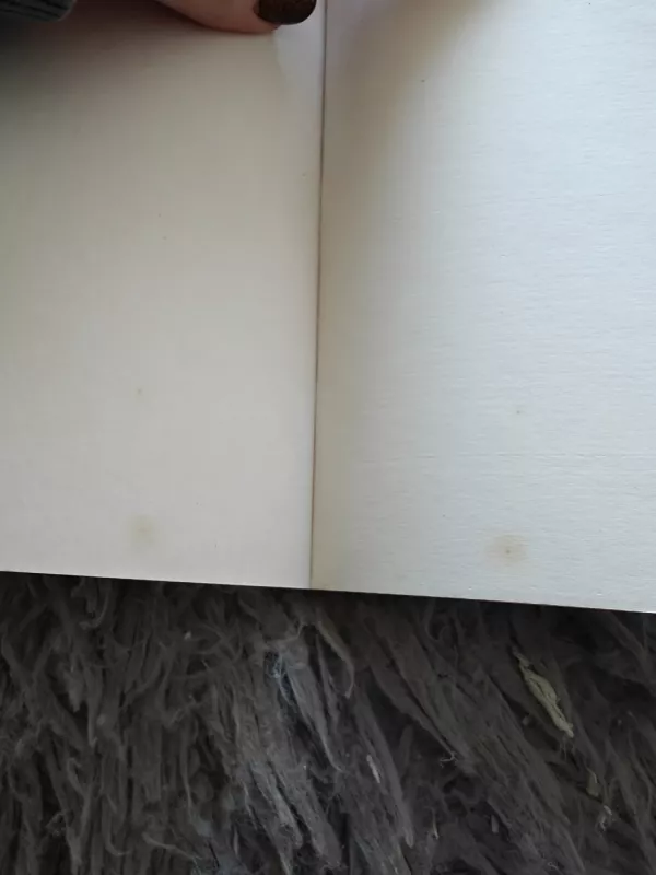 Diskurso tvarka - Michel Foucault, knyga 4