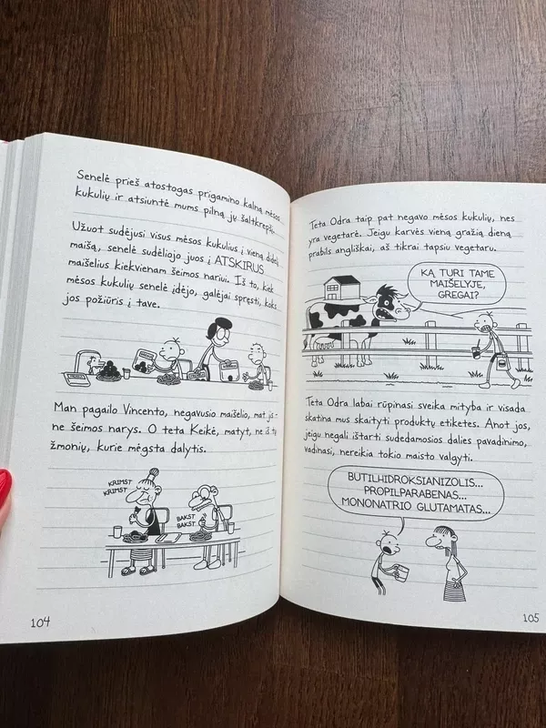 Nevykėlio dienoraštis 19. Išaiškėjęs melas - Jeff Kinney, knyga 4