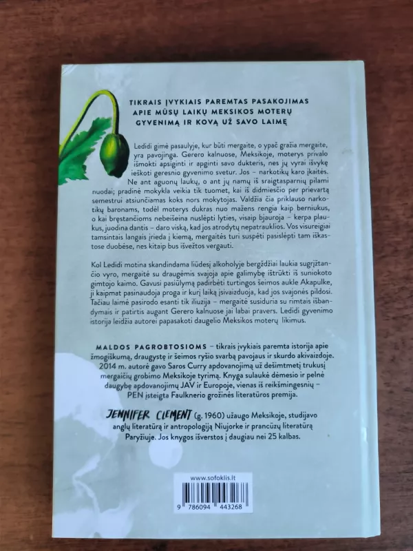 Maldos pagrobtosioms - Jennifer Clement, knyga 3