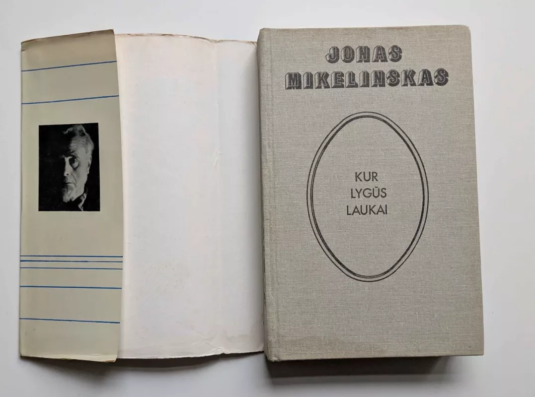 Kur lygūs laukai - Jonas Mikelinskas, knyga 3