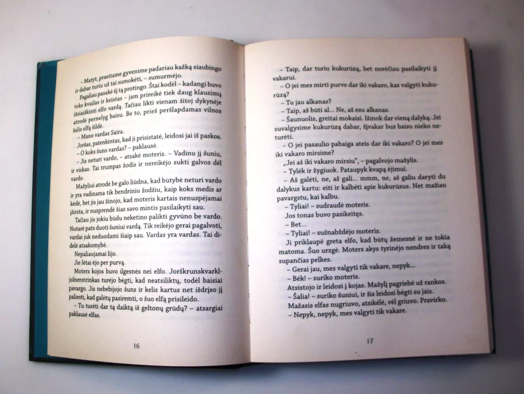 Paskutinis elfas - Silvana De Mari, knyga 6