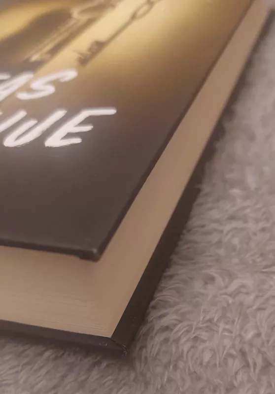 Butas Paryžiuje - Lucy Foley, knyga 4