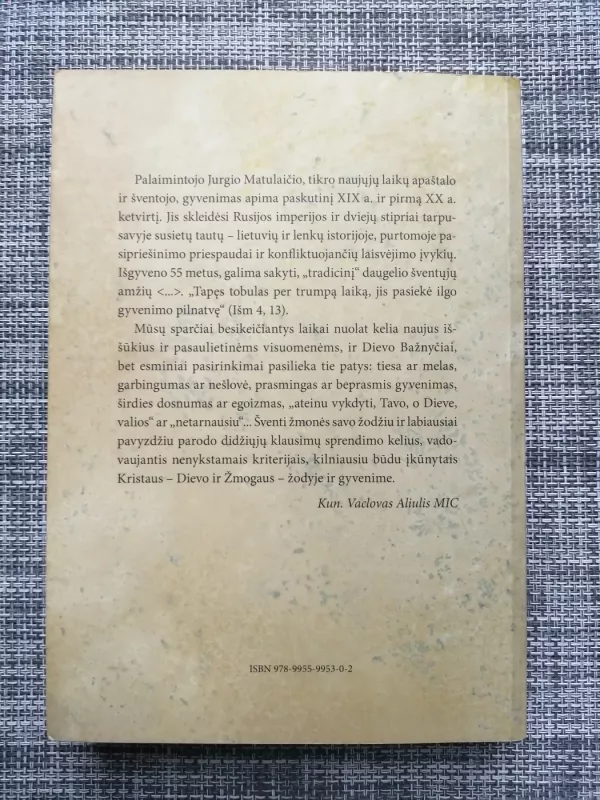 Jurgis Matulaitis - Stasys Yla, knyga 3