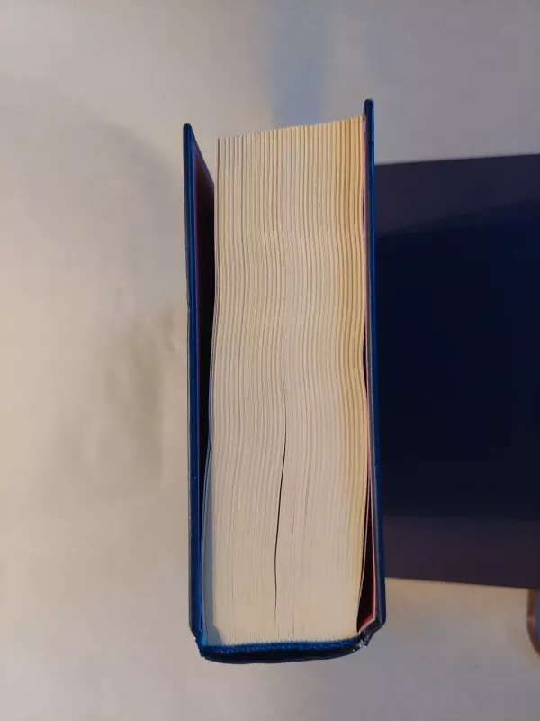 Mečetė sultono dukteriai - Elif Shafak, knyga 6