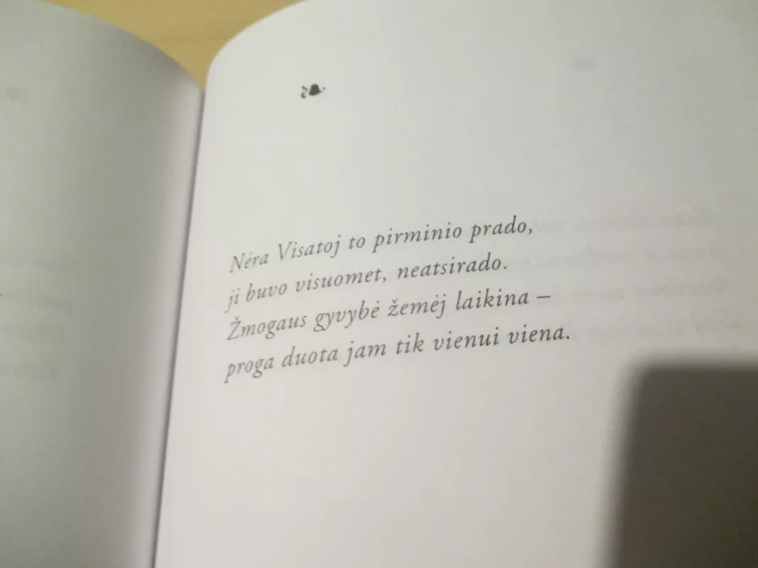 Be ornamentų - Aleksas  Zotovas, knyga 6