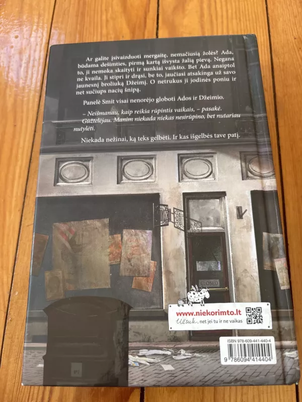 Karas, išgelbėjęs mano gyvenimą - Kimberly Brubaker Bradley, knyga 3