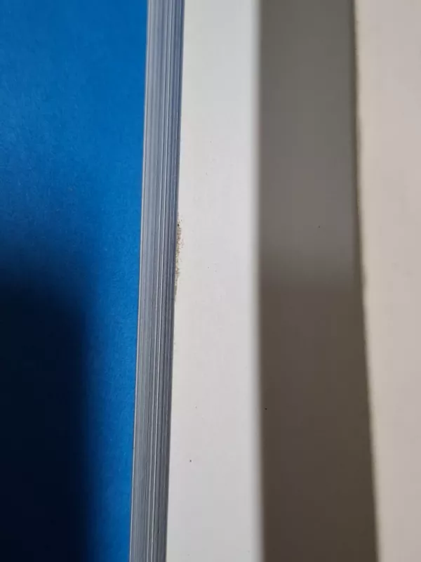 Ieškančiojo pėdsakai - Kęstutis Trimakas, knyga 5