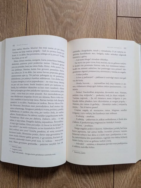 Meilės istorija - Nicole Krauss, knyga 4