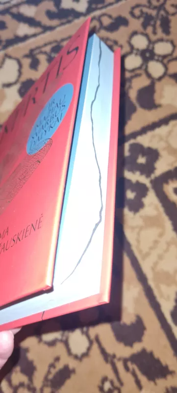 Mirtis ir mažiau svarbūs dalykai - Laima Baršauskienė, knyga 3