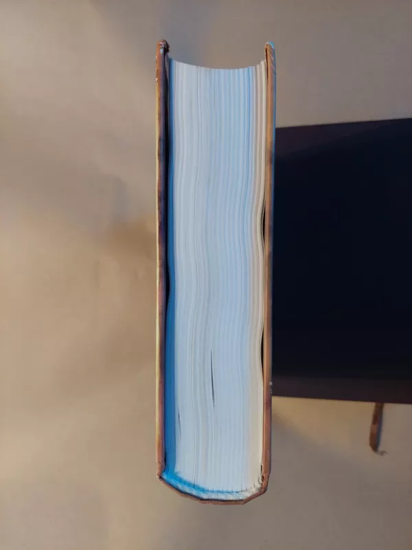 Lietuvos istorija nuo seniausių laikų iki 1569 metų (1 tomas) - Edvardas Gudavičius, knyga 5