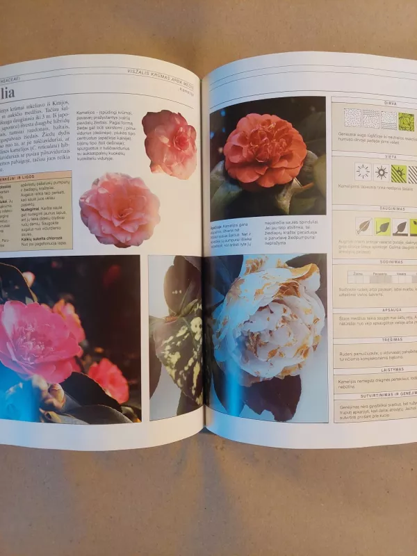 Sodo augalų priežiūros vadovas - Ann Bonar, knyga 4