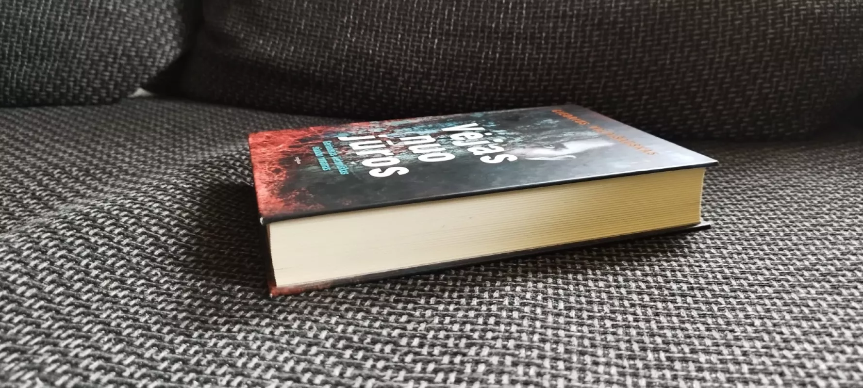 Vėjas nuo jūros - Giedrius Vilpišauskas, knyga 5