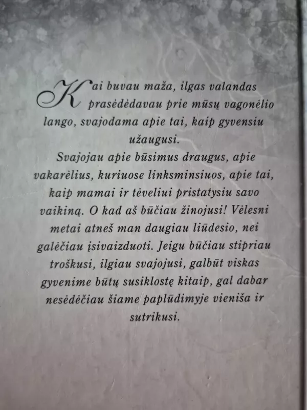 Širdies daina - V. C. Endrius, knyga 4