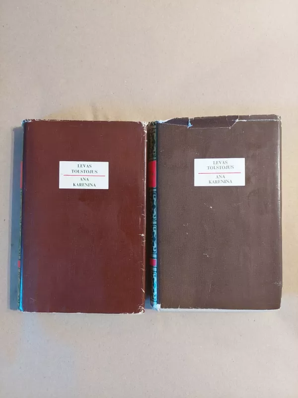 Ana Karenina (I, II tomai) - Levas Tolstojus, knyga 2