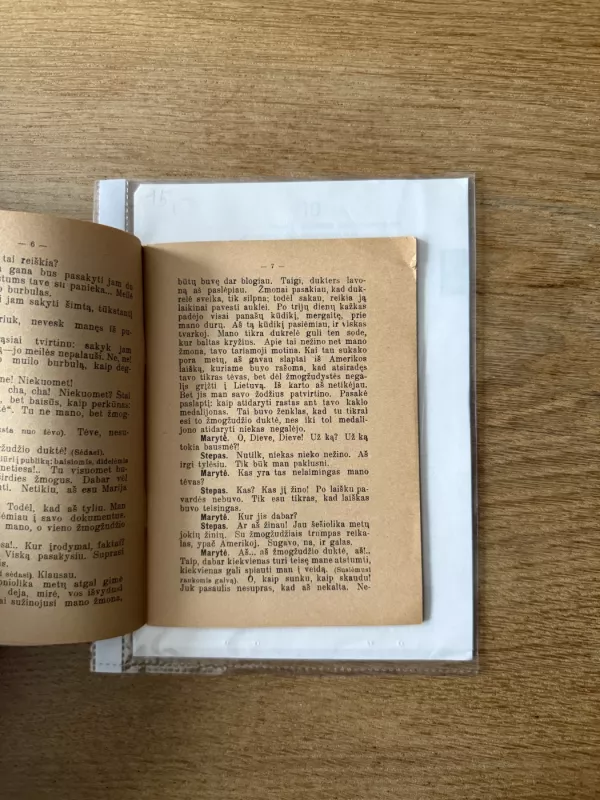 Žmogžudžio duktė 1935 m - Stasys Žematis, knyga 4