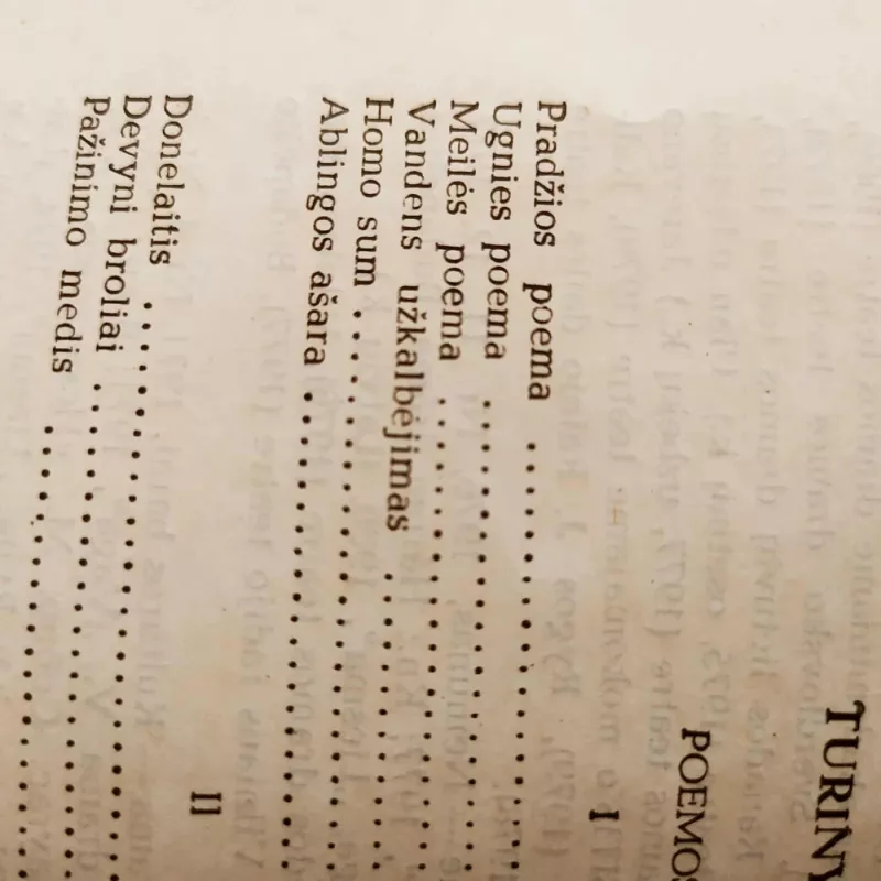 Mindaugas Mažvydas Katedra - Justinas Marcinkevičius, knyga 4