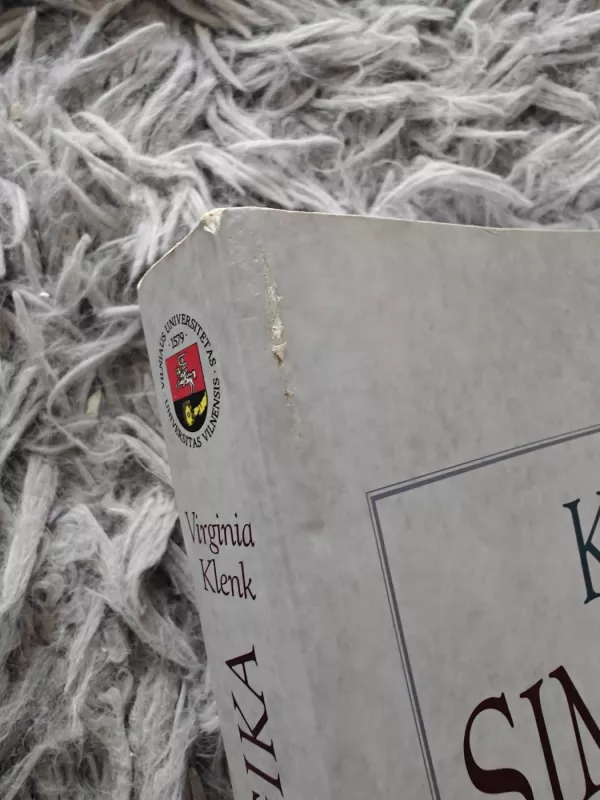 Kas yra simbolinė logika - Virginia Klenk, knyga 5