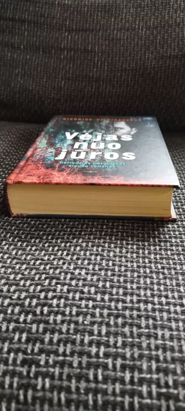 Vėjas nuo jūros - Giedrius Vilpišauskas, knyga 4