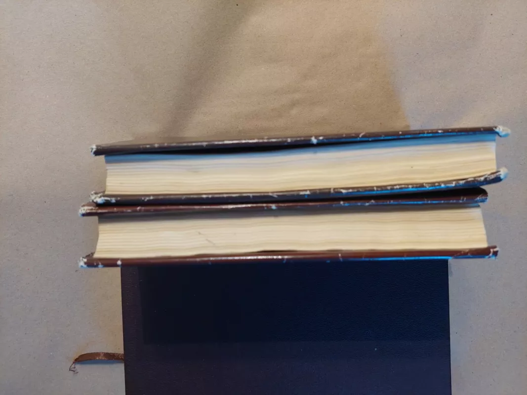 Ana Karenina (I, II tomai) - Levas Tolstojus, knyga 3