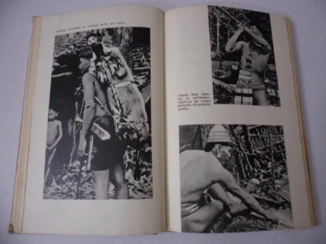 Borneo džiunglėse - Pjeras Pfeferis, knyga 4