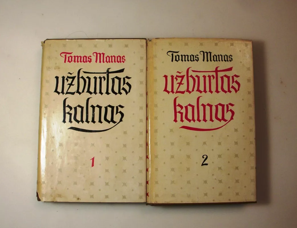Užburtas kalnas (1 ir 2 tomai) - Tomas Manas, knyga 3