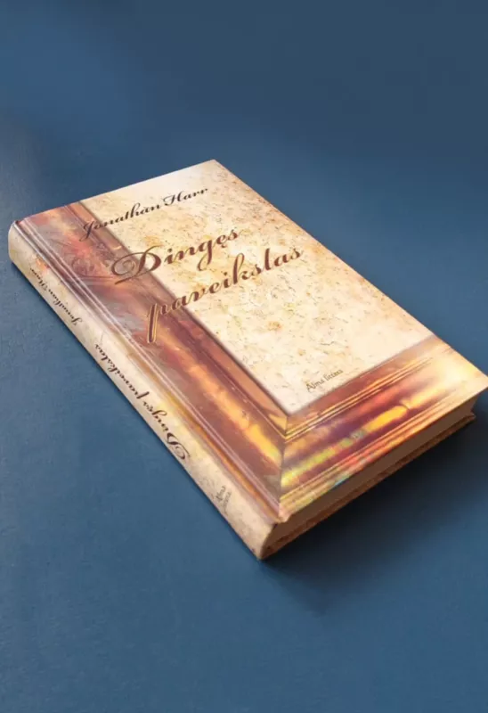 Dingęs paveikslas - Jonathan Harr, knyga 3