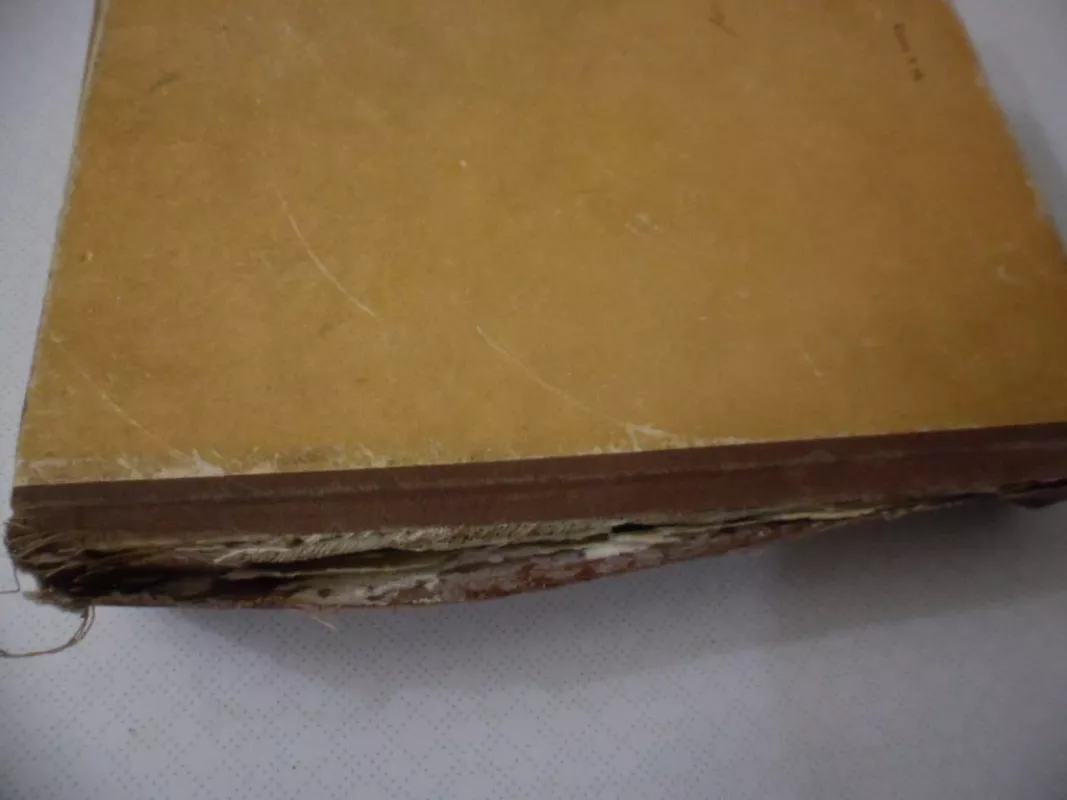 Pusseserė Beta - O. Balzakas, knyga 5