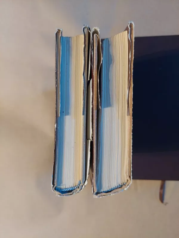 Ana Karenina (I, II tomai) - Levas Tolstojus, knyga 4