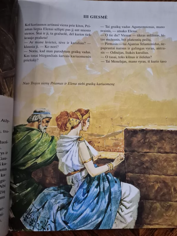 Iliada. Trojos karas - Stelo Martelli, knyga 6