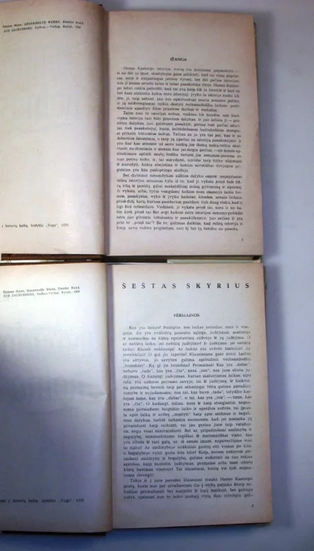 Užburtas kalnas (1 ir 2 tomai) - Tomas Manas, knyga 6