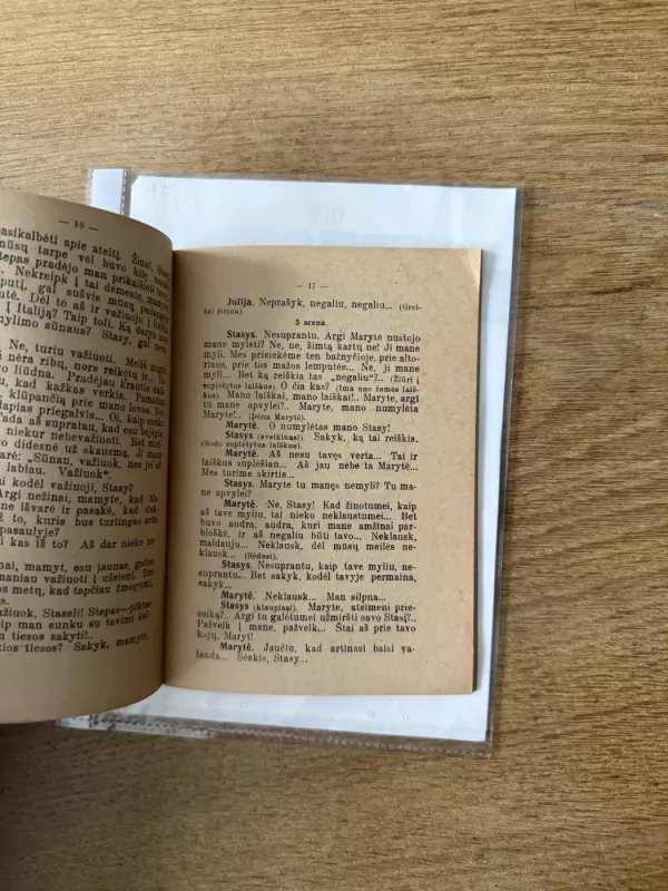 Žmogžudžio duktė 1935 m - Stasys Žematis, knyga 5