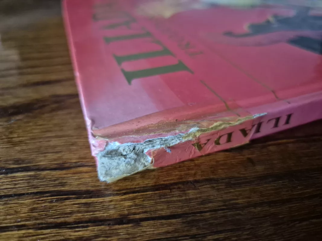 Iliada. Trojos karas - Stelo Martelli, knyga 4