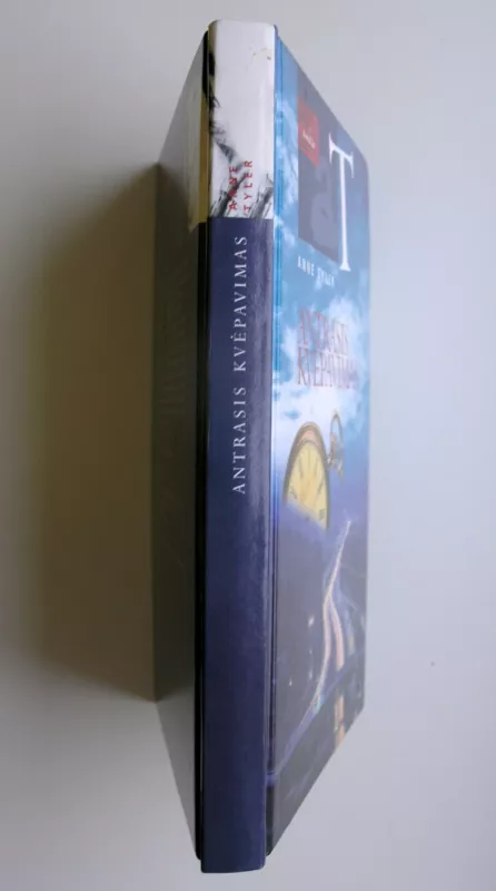 Antrasis kvėpavimas - Anne Tyler, knyga 5