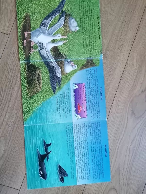 Poliariniai gyvūnai .Išlankstyk ir sužinok - Autorių Kolektyvas, knyga 4