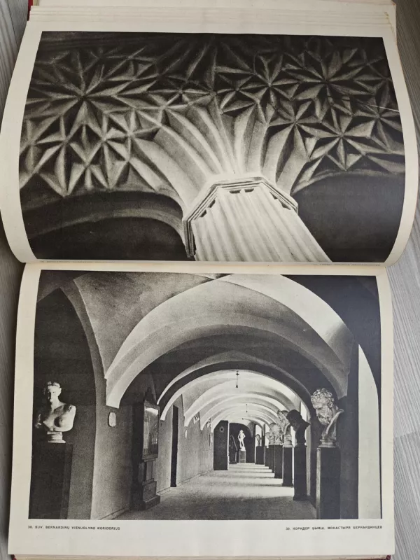 Vilnius. Architektūra iki  XX a. pradžios - Autorių Kolektyvas, knyga 6