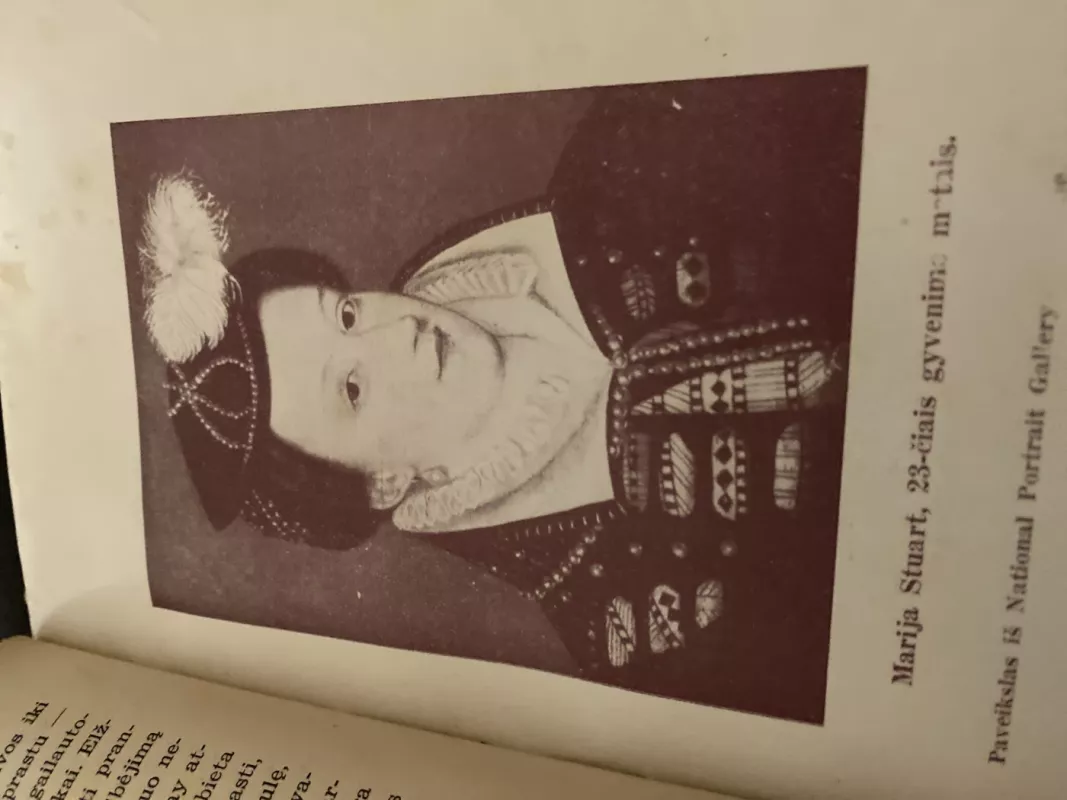 Marija Stiuart - Stefan Zweig, knyga 6