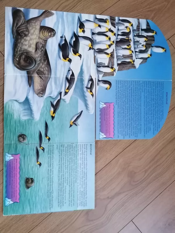 Poliariniai gyvūnai .Išlankstyk ir sužinok - Autorių Kolektyvas, knyga 3