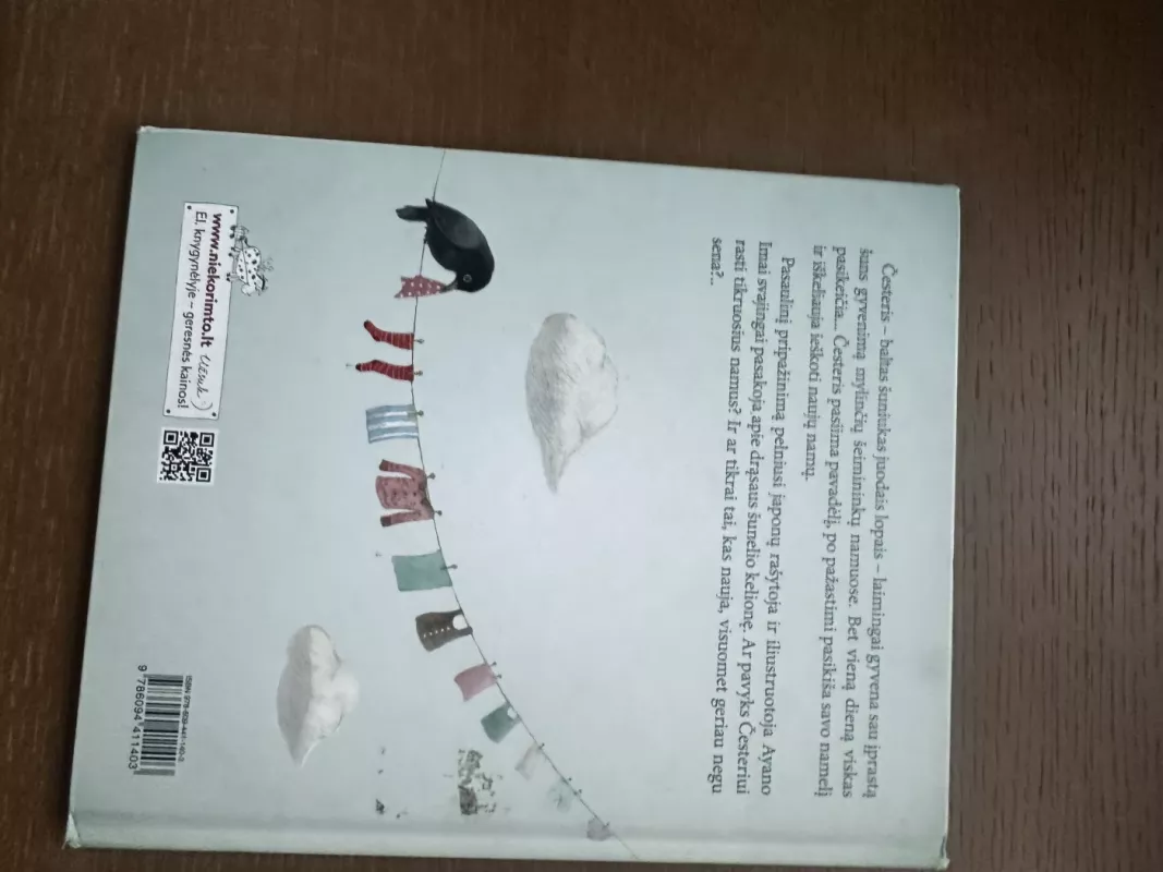 Česteris - Ayano Ilmai, knyga 5