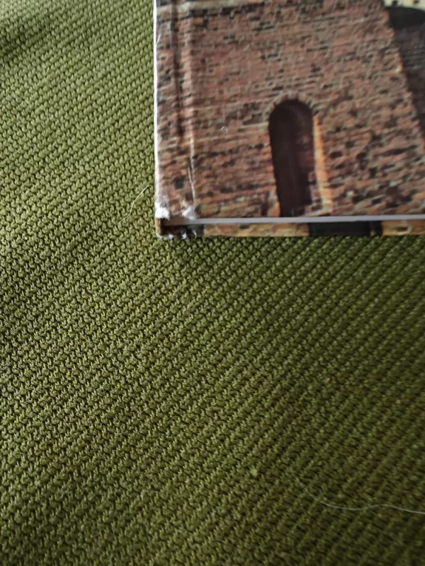 Vilnius - Rimantas Žilevičius, knyga 3