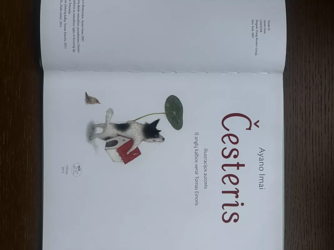 Česteris - Ayano Ilmai, knyga 4