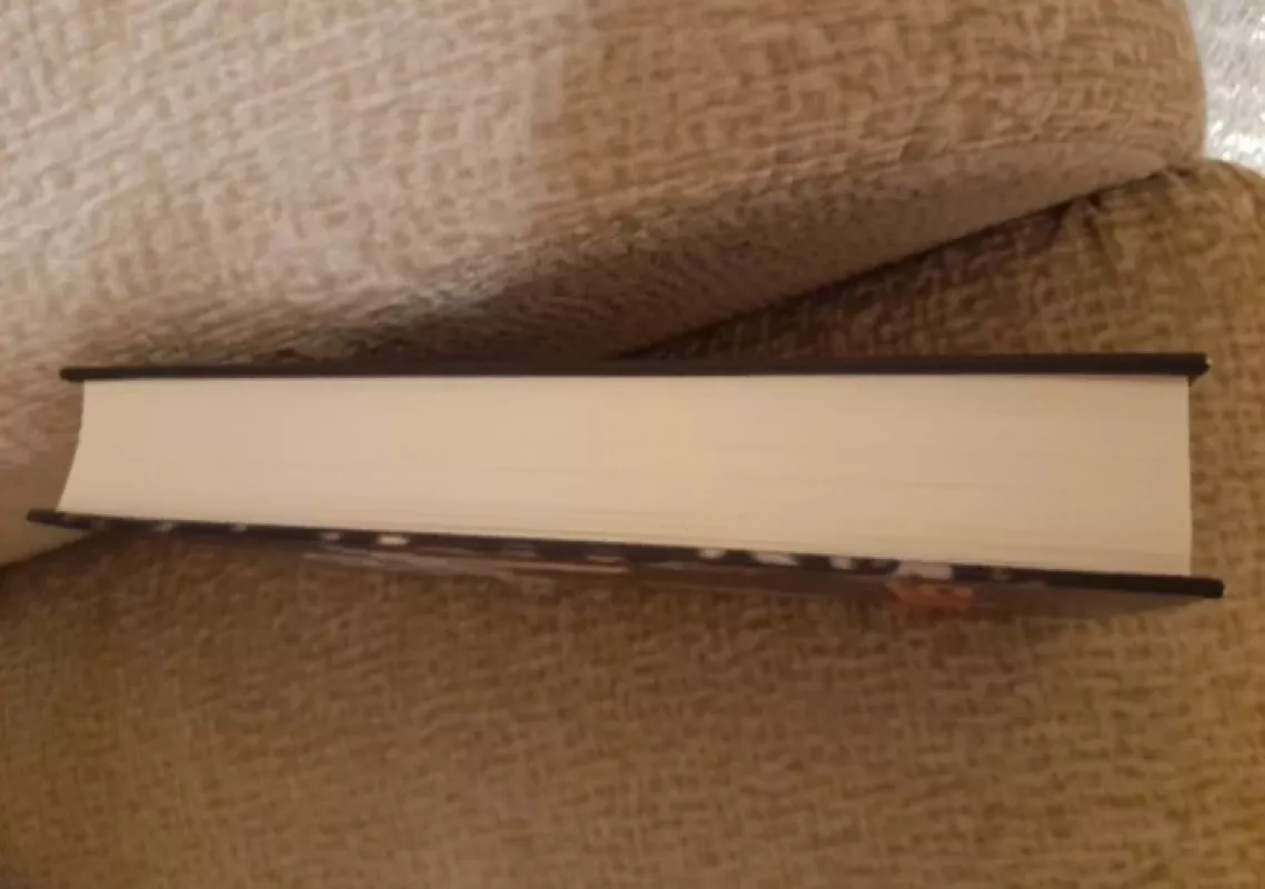 Slėpynės - Lisa Gardner, knyga 4