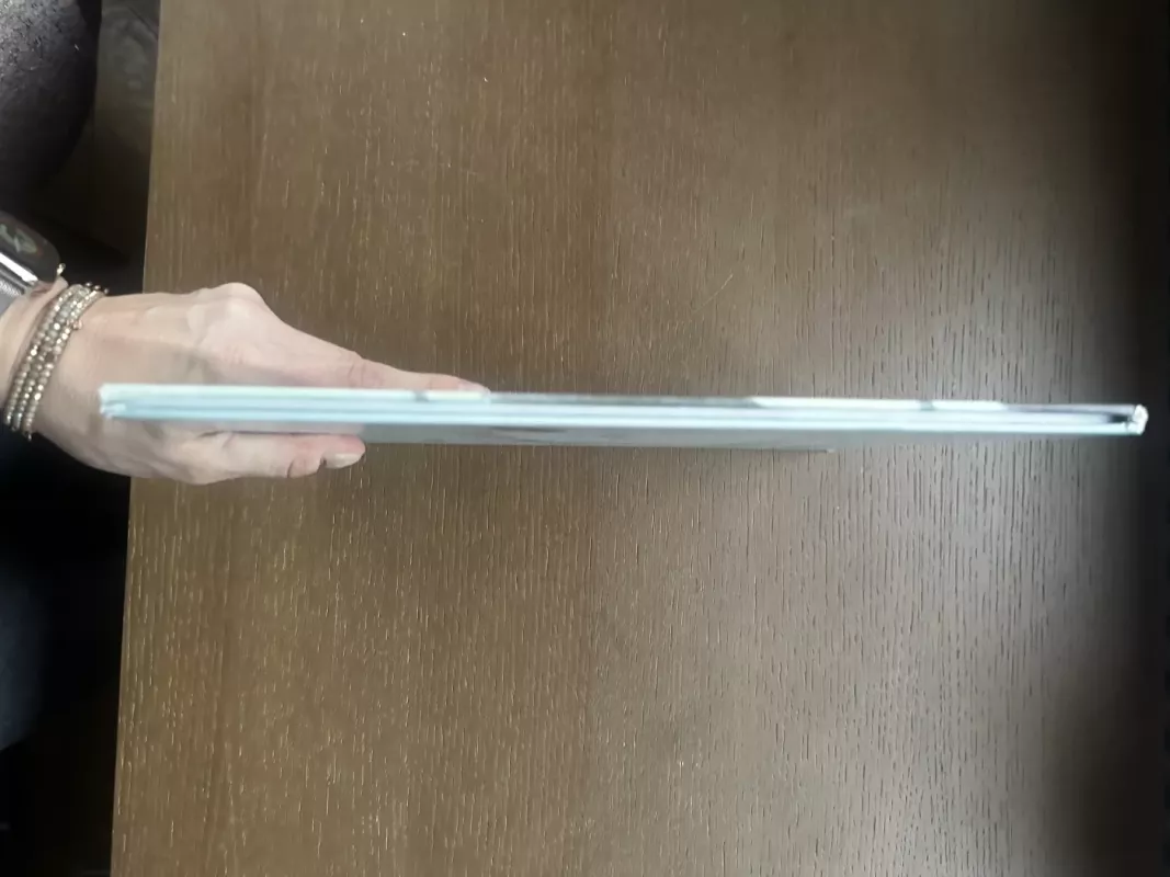 Česteris - Ayano Ilmai, knyga 3