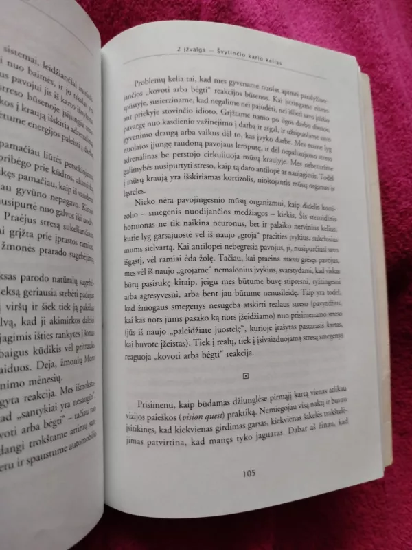 Keturios Įžvalgos. Žemės Saugotojų Išmintis Galia ir Malonė - Alberto Villoldo, knyga 4