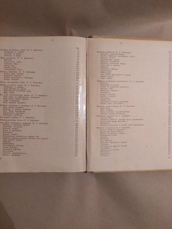 Darbščiosios rankos - Autorių Kolektyvas, knyga 6