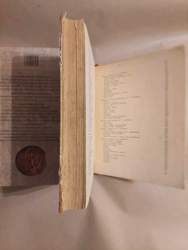 Darbščiosios rankos - Autorių Kolektyvas, knyga 4