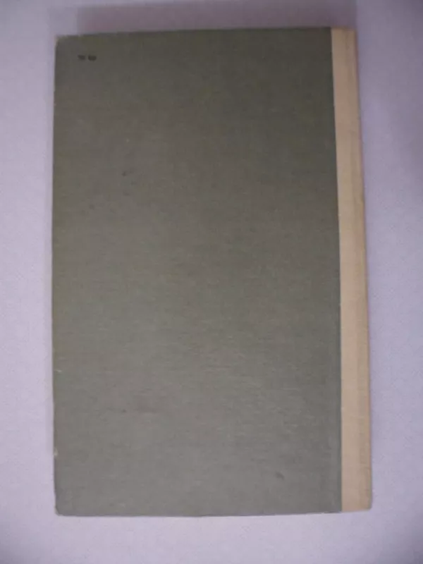 Be šeimos - Hektoras Malo, knyga 4