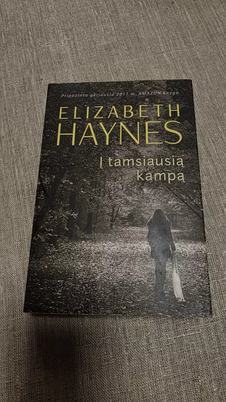Į tamsiausią kampą - Elizabeth Haynes, knyga 3
