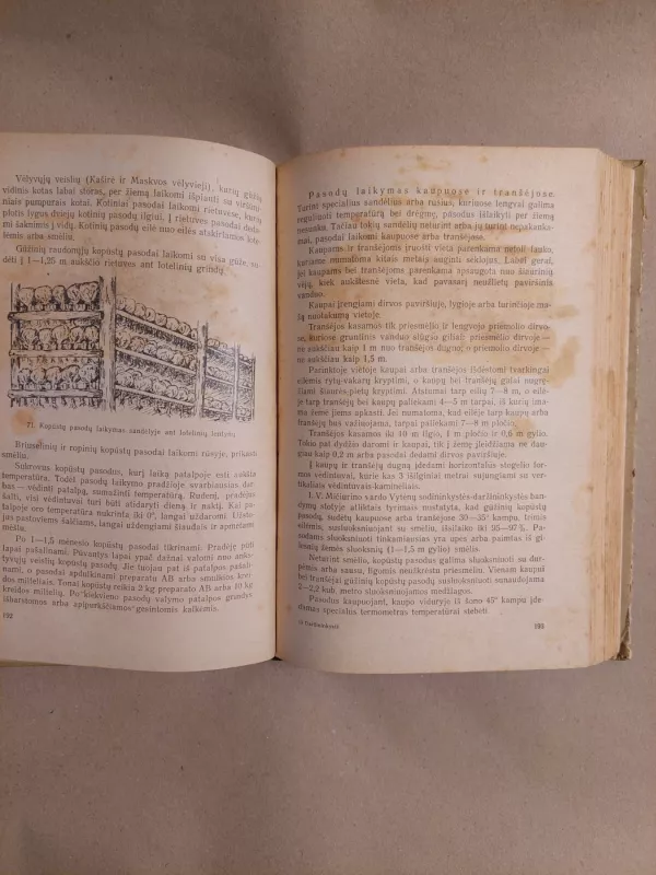 Daržininkystė 1957 - Pranas Svetika, knyga 6