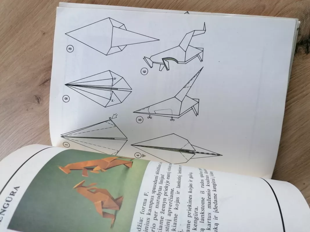 Susipažinkite - origamis - J. Paulionytė, knyga 5