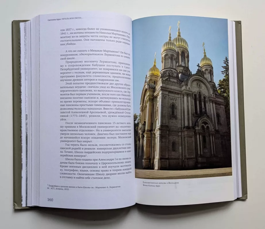 Mano liūdesys šviesus... Melancholiški pasivaikščiojimai su poetišku gidu po Vysbadeno rusų istorines kapines (rusų k.) 2015 - Svetlana Arro, knyga 5
